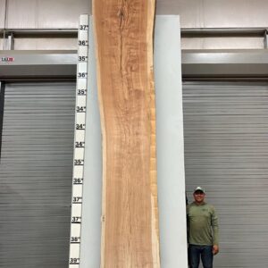 Live Edge Pecan Wood Slab - Front PE-013-05