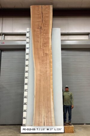 Live Edge Pecan Wood Slab - Front PE-013-05