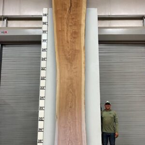 Live Edge Pecan Wood Slab - Front PE-013-06