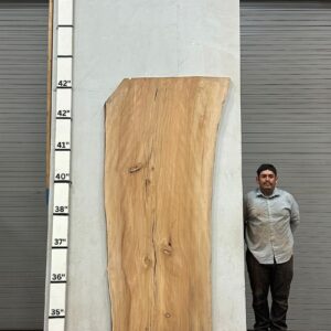 Live Edge Sycamore Wood Slab - Back SY-201-01