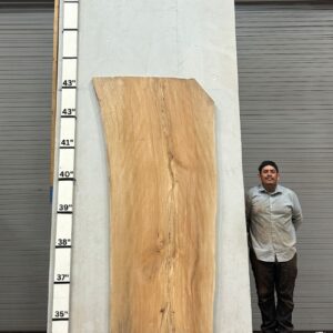Live Edge Sycamore Wood Slab - Front SY-201-01