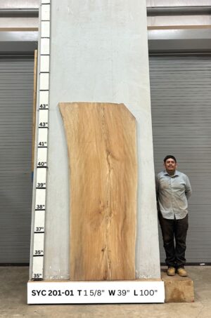 Live Edge Sycamore Wood Slab - Front SY-201-01