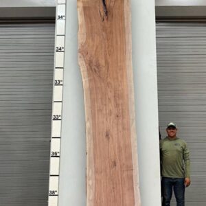 Live Edge Pecan Wood Slab - Back PE-238-06