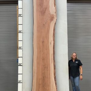 Live Edge Pecan Wood Slab - Back PE-238-07