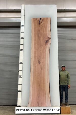 Live Edge Pecan Wood Slab - Front PE-238-06