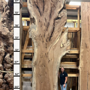 Live Edge Pecan Wood Slab - Front PE-906-05
