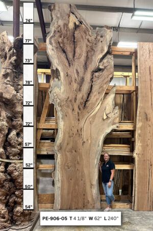 Live Edge Pecan Wood Slab - Front PE-906-05