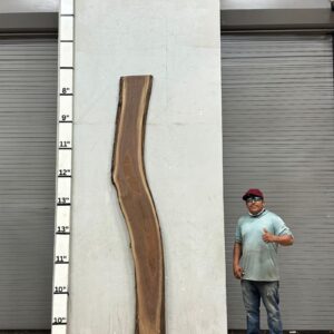 Live Edge Walnut Wood Slab Back- WA-035-01