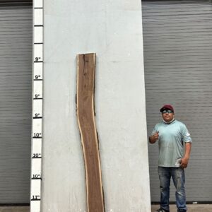 Live Edge Walnut Wood Slab Back- WA-036-01