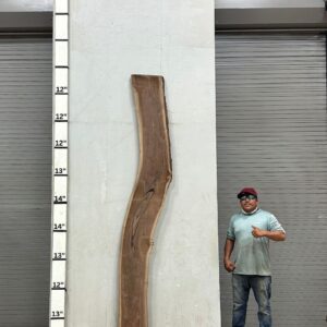Live Edge Walnut Wood Slab Front- WA-035-01