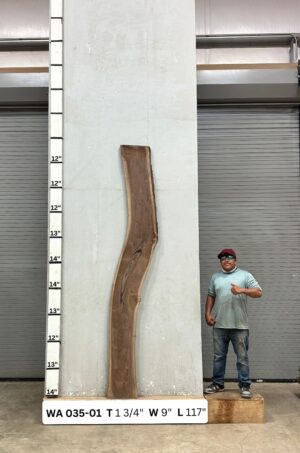 Live Edge Walnut Wood Slab Front- WA-035-01