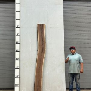 Live Edge Walnut Wood Slab Front- WA-036-01