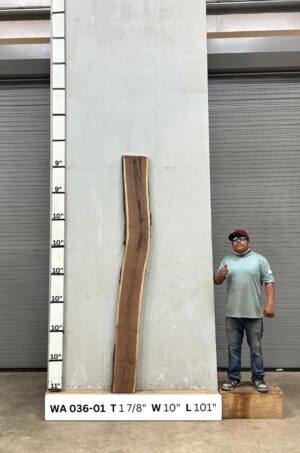 Live Edge Walnut Wood Slab Front- WA-036-01