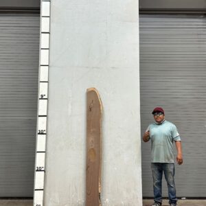 Live Edge Walnut Wood Slab Front- WA-038-01