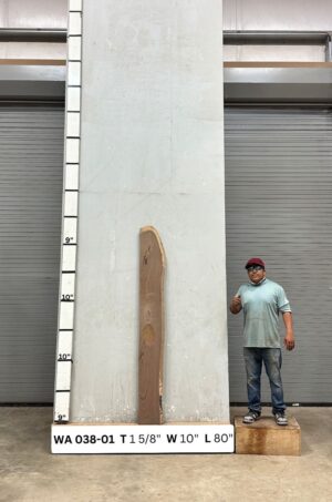 Live Edge Walnut Wood Slab Front- WA-038-01