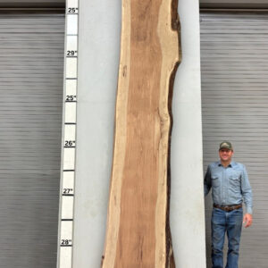 Live Edge Pecan Wood Slab - Back PE-238-08