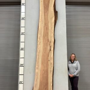 Live Edge Pecan Wood Slab - Back PE-238-09