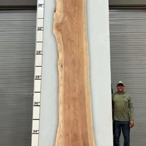 Live Edge Pecan Wood Slab - Front PE-238-08