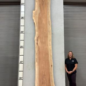 Live Edge Pecan Wood Slab - Front PE-238-09