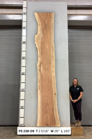 Live Edge Pecan Wood Slab - Front PE-238-09